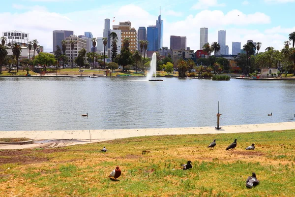Los Angeles California May 2019 View Macarthur Park Located Westlake — Stock Photo, Image