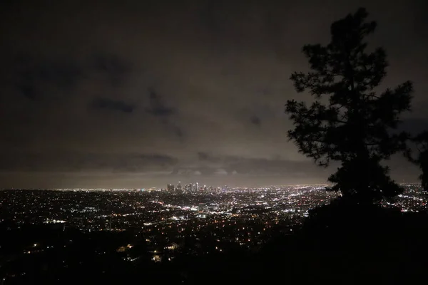 Los Angeles Skyline Night Time Panorama Med Utsikt Över Trädgrenar — Stockfoto