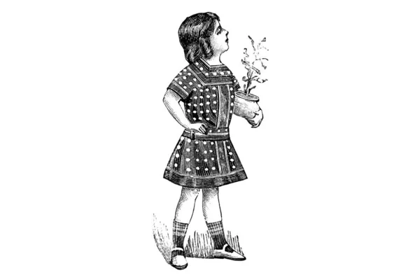 Portret Dziewczyny Białym Tle Ilustracja Ołówka — Zdjęcie stockowe