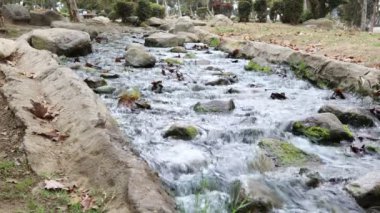 Kenneth Hahn Eyalet Parkı 'ndaki Su ve Kayalar - Culver City, Los Angeles - Kaliforniya