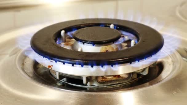 Gas Cooker Burning Flames Gas Domestic Kitchen Blue Flames Burning — Stock Video