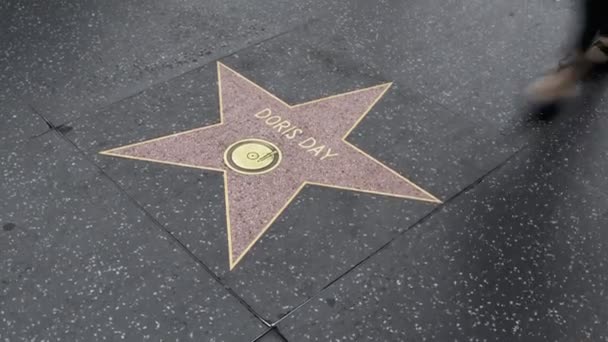 Hollywood California Mayıs 2019 Hollywood Bulvarı Nda Doris Gününün Yıldızı — Stok video