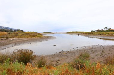 MALIBU Lagon Eyalet Plajı, Point, Malibu, Kaliforniya kıyıları