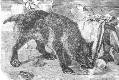 Genç bir kadının eski ve klasik bir çizimi