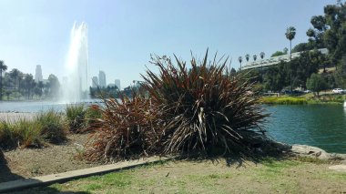 LOS ANGELES, California - 14 Eylül 2018: ECHO PARK Los Angeles, Kaliforniya