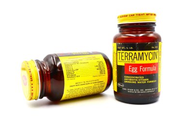 Pescara, İtalya - Nisan 06, 2019: 1960 TERRAMYCIN Pfizer EGG eski. Pulletler için Oxytetracycline Antibiyotik ve Vitamin formülasyonu. Chas tarafından Amerika 'da üretildi. PFIZER & Co. Brooklyn N.Y.