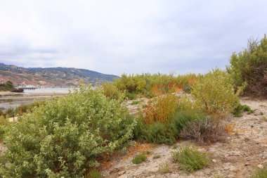 MALIBU Lagon Eyalet Plajı, Point, Malibu, Kaliforniya kıyıları