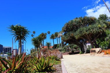 Beverly Hills Kaktüs Bahçesi, Santa Monica Bulvarı 'ndaki Beverly Gardens Parkı..