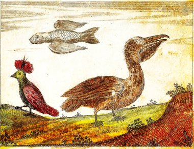 COK BALIK, PELICAN VE WOODPECKER - 1840 Orijinal renkler ve kusurlarla oyulmuş Vintage Illustration.