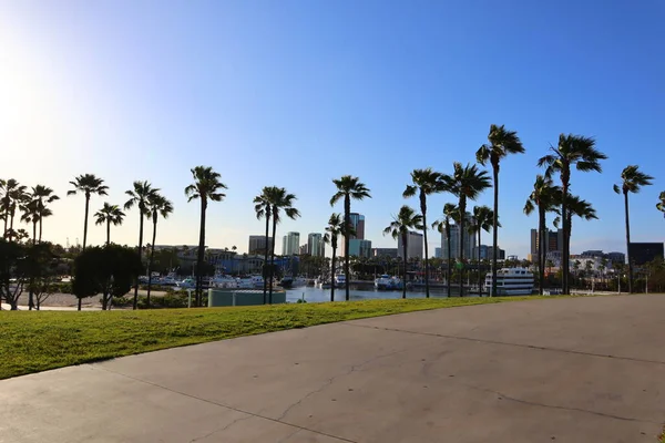 Long Beach Californië Mei 2019 Long Beach Harbor Marina Los — Stockfoto