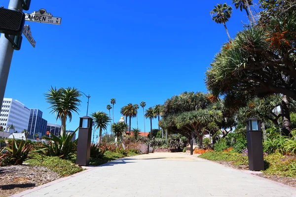 カリフォルニア州ビバリーヒルズ 2019年5月20日 サンタモニカ ブルバードのビバリー ガーデンズ パークにあるビバリーヒルズ サボテン ガーデン — ストック写真