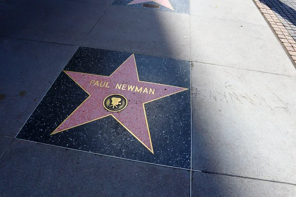Hollywood Kalifornie Května 2019 Star Paul Newman Hollywood Walk Fame — Stock fotografie