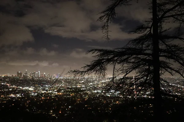 Los Angeles Skyline Night Time Panorama Com Vista Galhos Árvores — Fotografia de Stock