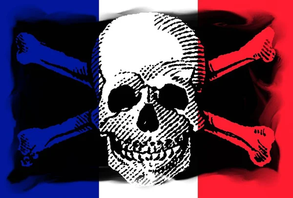 带有法国国旗的海盗风格的骷髅和梭鱼 — 图库照片