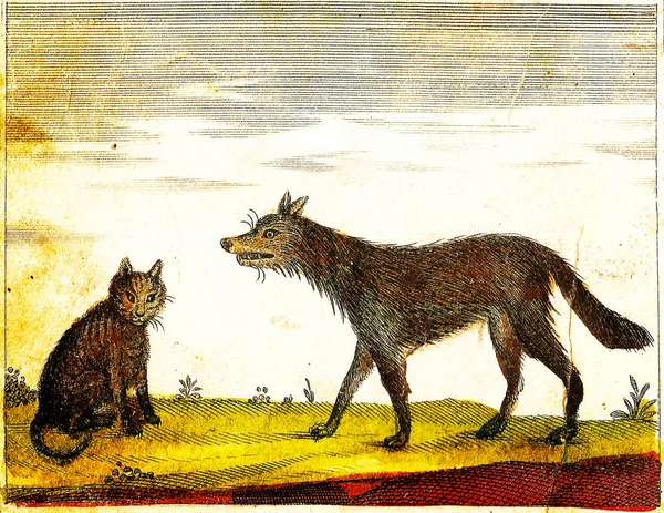 WOLF and CAT - 1840 Vintage Engraved Illustration with original colors and imperfections.