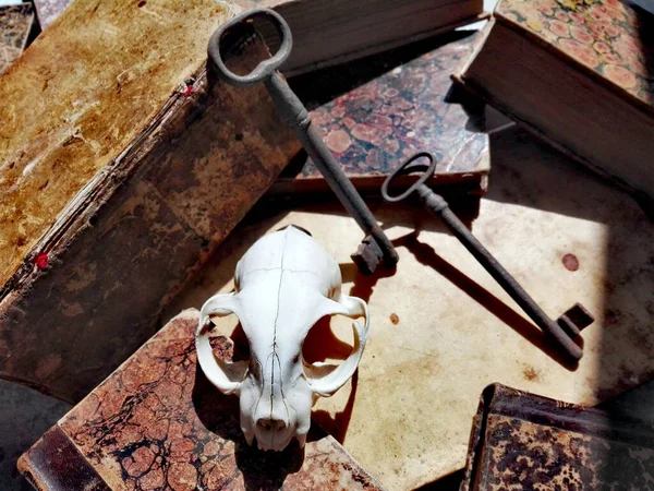 Starožitné Staré Knihy Ročník Keys Kocour Skull Kožené Vázaný Mramorované — Stock fotografie