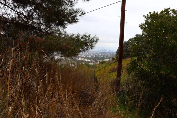 洛杉矶肯尼斯哈恩州娱乐区的详细景观是加州的一个州立公园 位于洛杉矶鲍德温山脉 — 图库照片