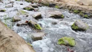 Kenneth Hahn Eyalet Parkı 'ndaki Su ve Kayalar - Culver City, Los Angeles - Kaliforniya