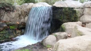 Japon bahçesindeki gölde ördekler Kenneth Hahn Eyalet Parkı Dinlenme Alanı Culver City, Los Angeles, Kaliforniya