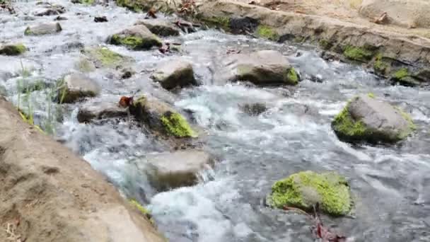Water Rotsen Kenneth Hahn State Park Culver City Los Angeles — Stockvideo