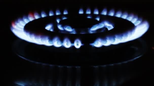 煤气炉 有燃烧的煤气炉 有蓝色火焰的家庭厨房 — 图库视频影像