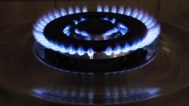 Κουζίνα Γκαζιού Φλεγόμενες Φλόγες Αερίου Εσωτερική Κουζίνα Μπλε Φλόγες Καύση — Αρχείο Βίντεο