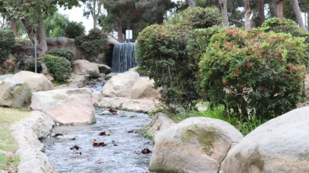 Eenden Het Meer Bij Japanese Garden Recreatiegebied Kenneth Hahn State — Stockvideo