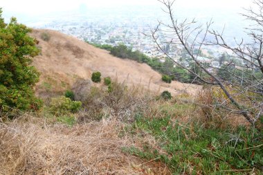 Los Angeles, Kenneth Hahn Eyalet Rekreasyon Bölgesi 'nin detaylı görüntüsü. Los Angeles 'ın Baldwin Hills Dağları' ndaki Kaliforniya Eyalet Parkı birimi.