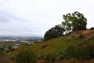 Los Angeles, Kenneth Hahn Eyalet Rekreasyon Bölgesi 'nin detaylı görüntüsü. Los Angeles 'ın Baldwin Hills Dağları' ndaki Kaliforniya Eyalet Parkı birimi.