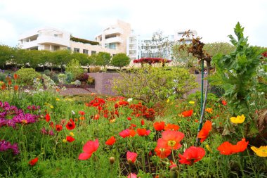 Los Angeles, Kaliforniya - 10 Mayıs 2019: Los Angeles 'taki Getty Center Müzesi' nin Bahçesi