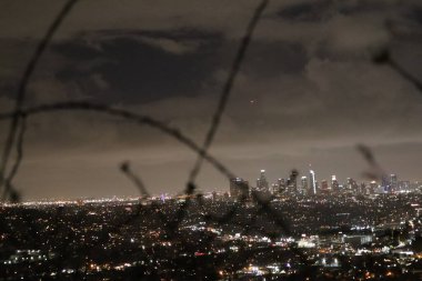 Los Angeles silüeti - Ağaç dalları manzaralı Gece Saati Panoraması 
