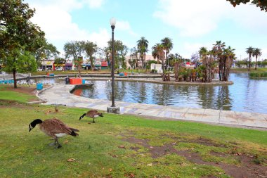 Los Angeles, California - 16 Mayıs 2019: Los Angeles 'ın Westlake mahallesindeki MacArthur Park manzarası