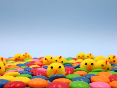 Komik piliçlerle Paskalya Kompozisyonu