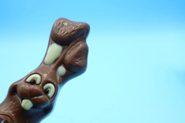 Húsvéti Csokoládé Nyúl Összetétel — Stock Fotó