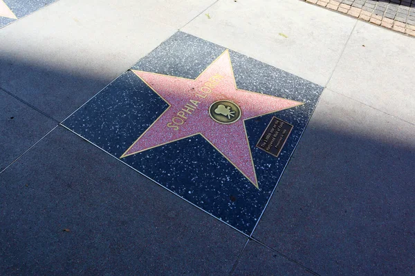 カリフォルニア州ハリウッド 2019年5月20日 Star Sophia Loren Hollywood Walk Fame Hollywood Boulevard — ストック写真