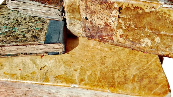 Vecchi Libri Antichi Educazione — Foto Stock