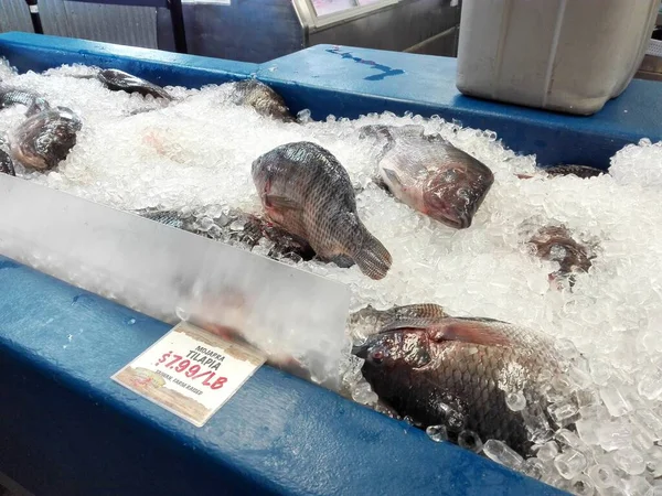Νωπά Ψάρια Στην Αγορά — Φωτογραφία Αρχείου