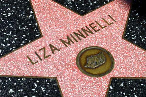 Hollywood California Mayo 2019 Estrella Liza Minnelli Hollywood Walk Fame — Foto de Stock