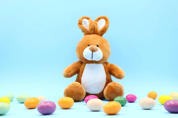 Composição Engraçada Páscoa Com Teddy Bunny — Fotografia de Stock