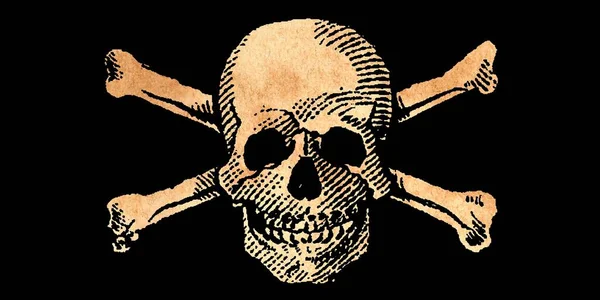 Jolly Roger Illusztráció Koponya Keresztcsont Szimbólum — Stock Fotó