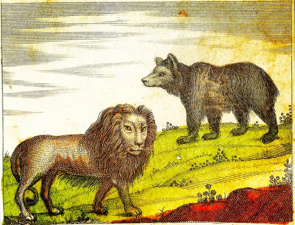 Lion Bear 1840 Vintage Metszett Illusztráció Eredeti Színekkel Tökéletlenségekkel — Stock Fotó