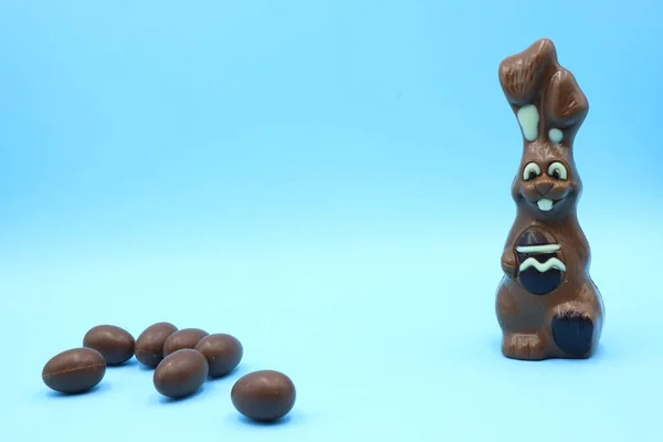 Composición Conejo Chocolate Pascua —  Fotos de Stock