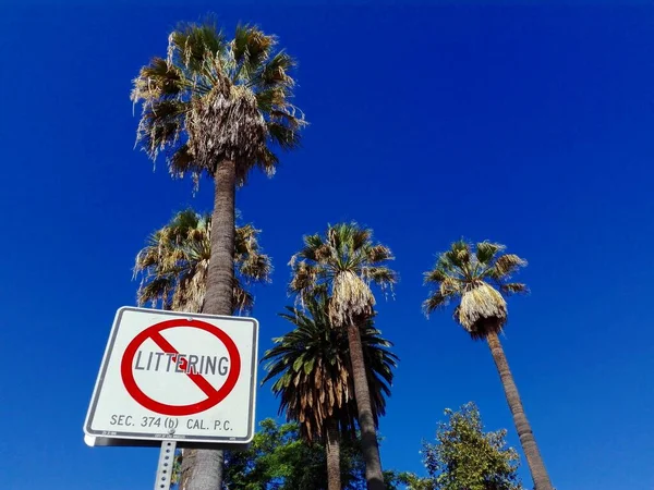 Hollywood Los Angeles Kalifornie Září 2018 Žádné Odhazování Odpadků Hollywood — Stock fotografie