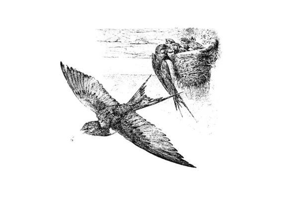 Ilustrație Monocromă Unei Tije Pescuit — Fotografie, imagine de stoc