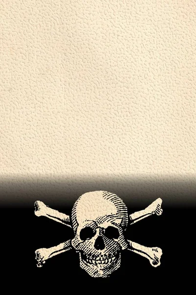 Jolly Roger Illustration Skalle Och Korsben Symbol — Stockfoto