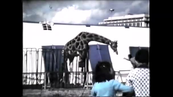 长颈鹿 7世纪70年代的8毫米老式电影 — 图库视频影像