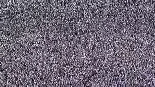 Efeito Falha Ruído Estático Vídeo Original Uma Televisão Vintage — Vídeo de Stock