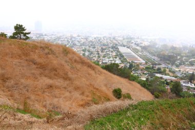 Los Angeles, Kenneth Hahn Eyalet Rekreasyon Bölgesi 'nin detaylı görüntüsü. Los Angeles 'ın Baldwin Hills Dağları' ndaki Kaliforniya Eyalet Parkı birimi.