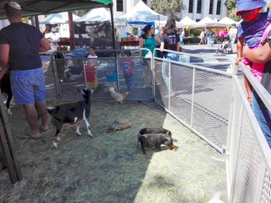 BEVERLY HILLS, California - 16 Eylül 2018: Beverly Hills Çiftçi Pazarı Civic Center Drive