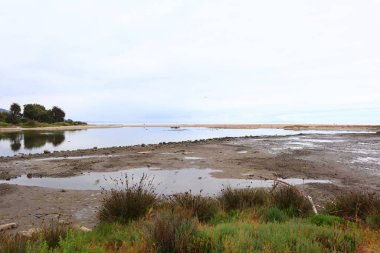 MALIBU Lagon Eyalet Plajı, Point, Malibu, Kaliforniya kıyıları